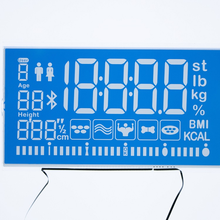 TN貼藍(lán)色片段碼屏